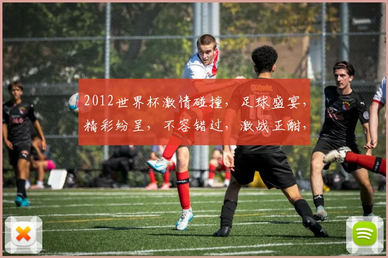 2012世界杯激情碰撞，足球盛宴，精彩纷呈，不容错过，激战正酣，谁将问鼎