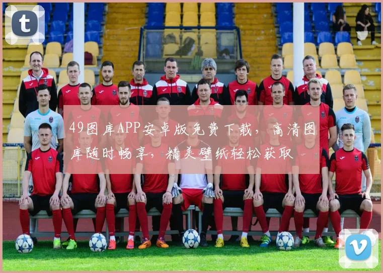 49图库APP安卓版免费下载，高清图库随时畅享，精美壁纸轻松获取