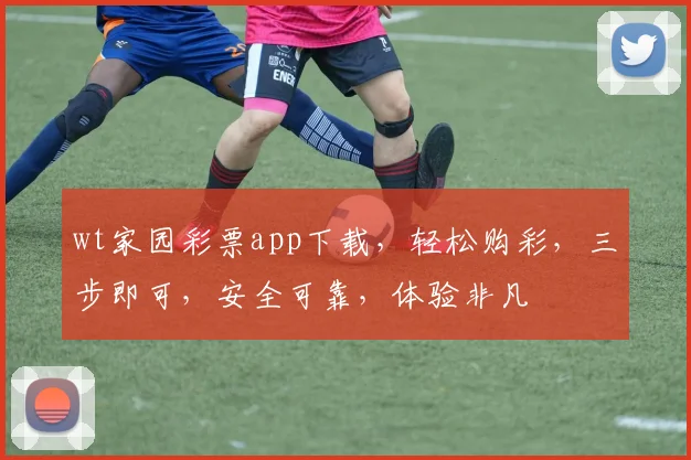 wt家园彩票app下载，轻松购彩，三步即可，安全可靠，体验非凡