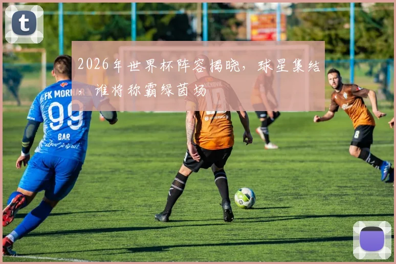 2026年世界杯阵容揭晓，球星集结，谁将称霸绿茵场